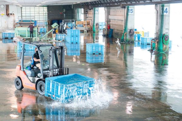 Xe nâng hoạt động trên nền kho ướt